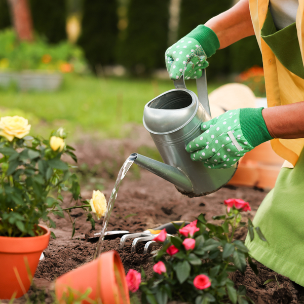 Patio, Lawn & Garden
