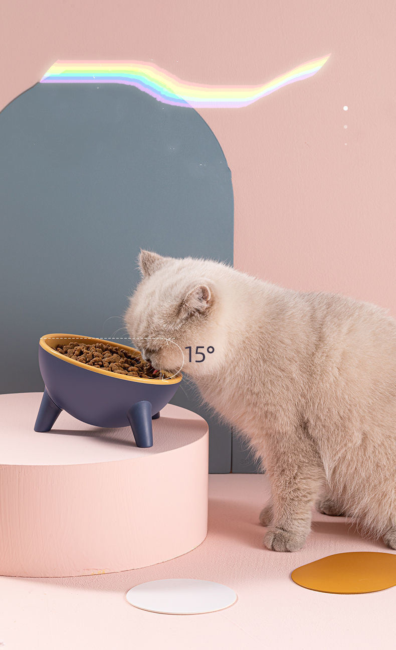 Elevated Cat & Dog Feeding Bowl