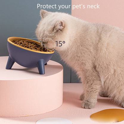 Elevated Cat & Dog Feeding Bowl