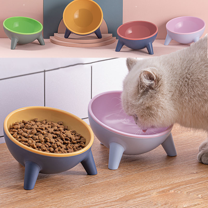 Elevated Cat & Dog Feeding Bowl