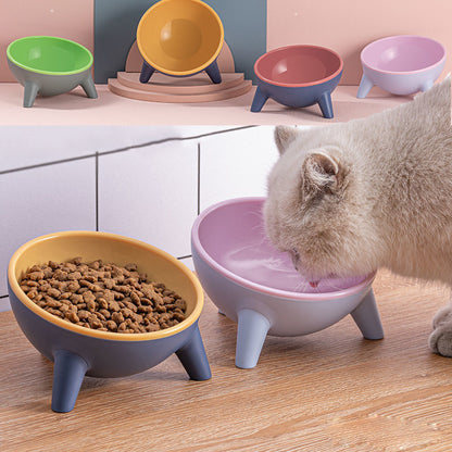 Elevated Cat & Dog Feeding Bowl